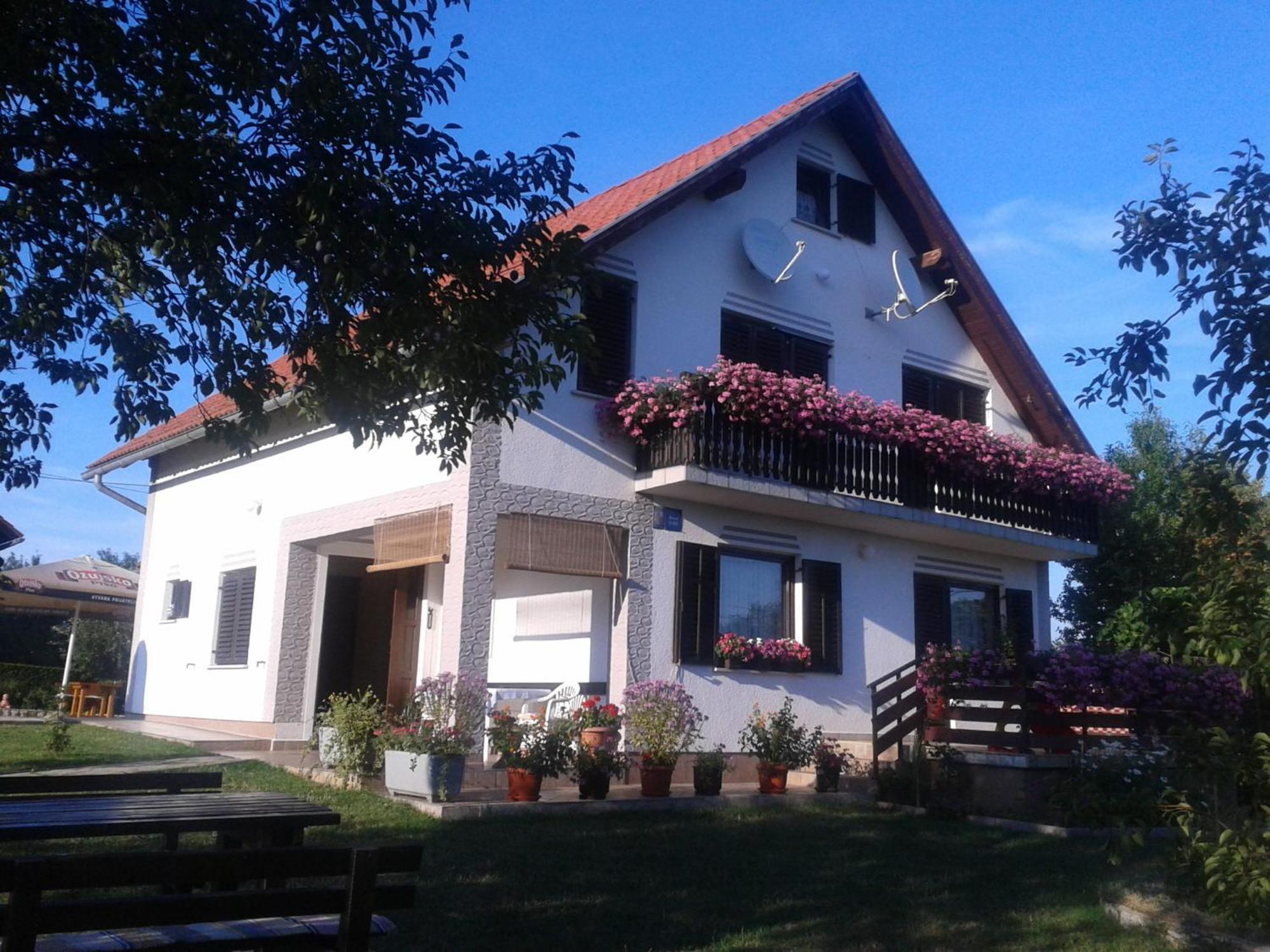 Guest House Adrijana Selište Drežničko Buitenkant foto