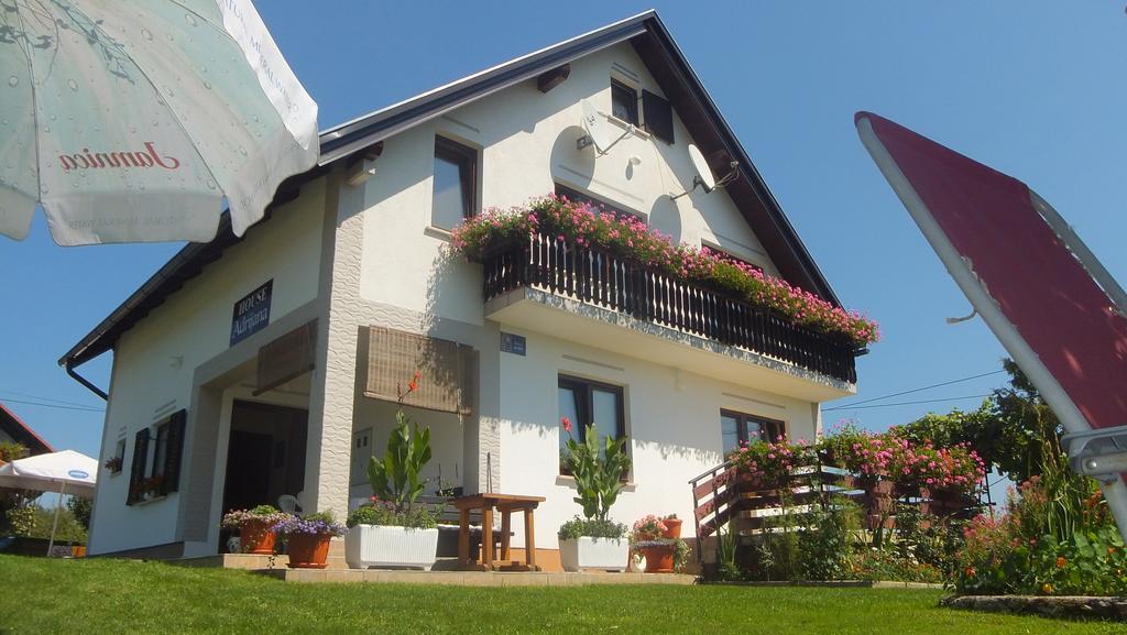 Guest House Adrijana Selište Drežničko Buitenkant foto