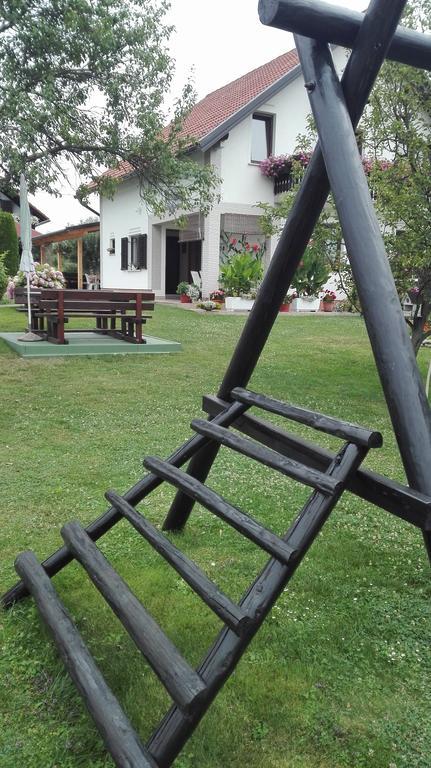 Guest House Adrijana Selište Drežničko Buitenkant foto