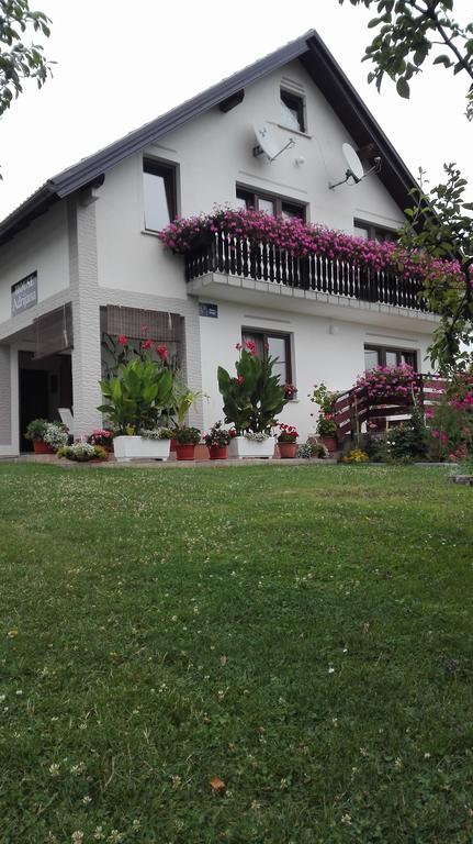 Guest House Adrijana Selište Drežničko Buitenkant foto