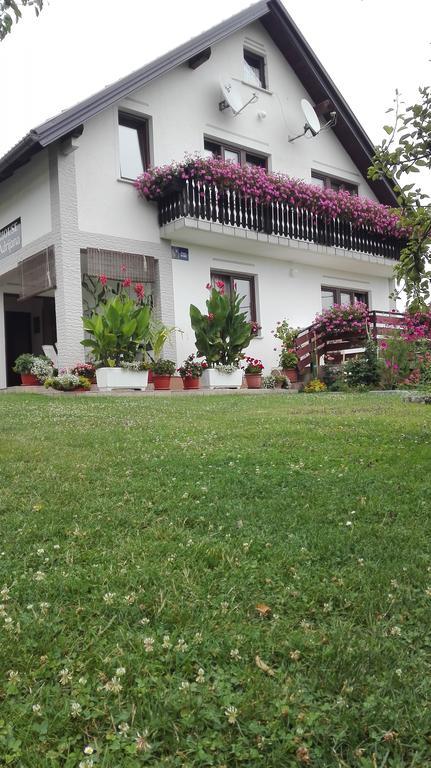 Guest House Adrijana Selište Drežničko Buitenkant foto