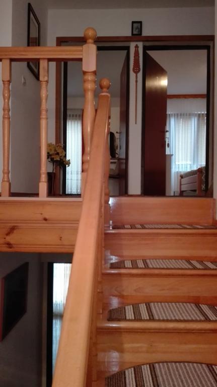 Guest House Adrijana Selište Drežničko Buitenkant foto