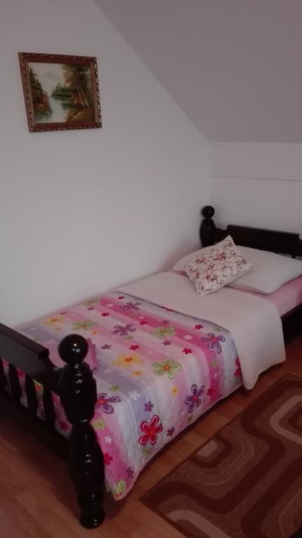 Guest House Adrijana Selište Drežničko Buitenkant foto