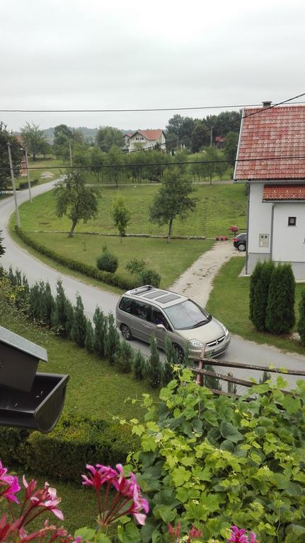 Guest House Adrijana Selište Drežničko Buitenkant foto