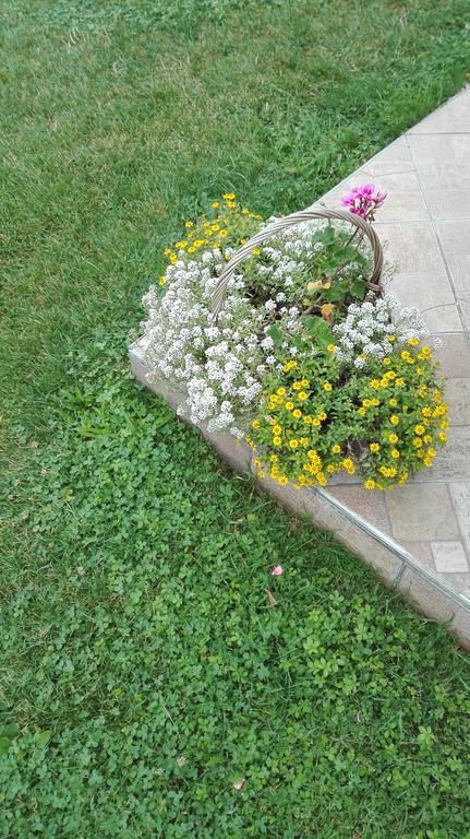 Guest House Adrijana Selište Drežničko Buitenkant foto