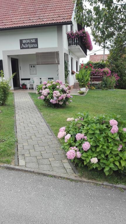 Guest House Adrijana Selište Drežničko Buitenkant foto
