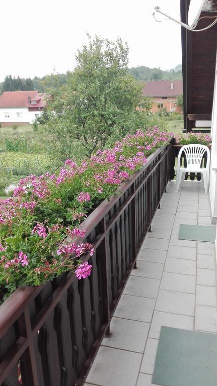 Guest House Adrijana Selište Drežničko Buitenkant foto