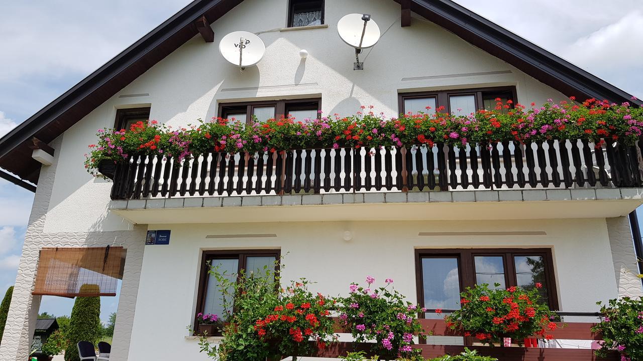 Guest House Adrijana Selište Drežničko Buitenkant foto
