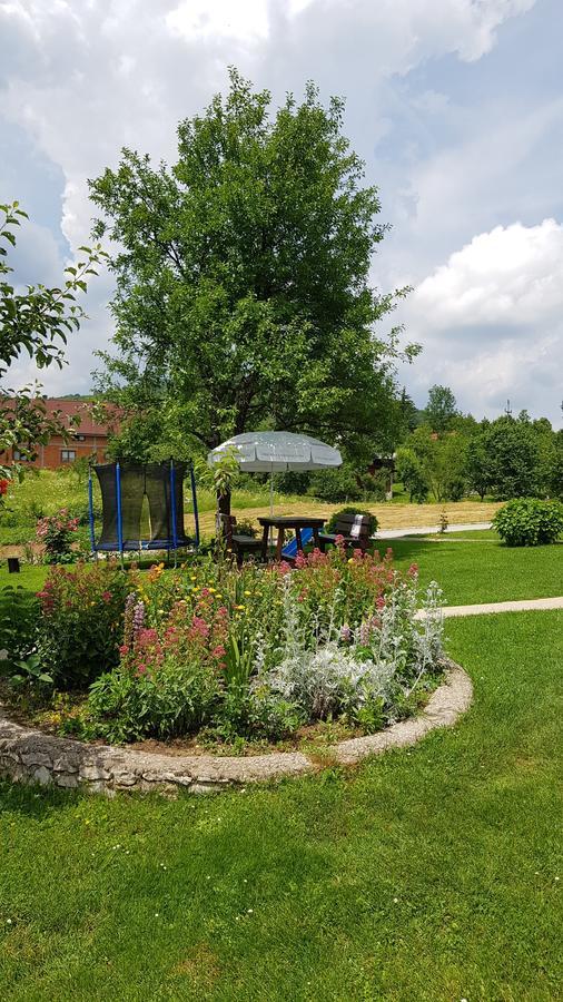 Guest House Adrijana Selište Drežničko Buitenkant foto