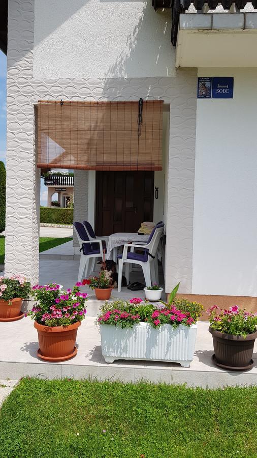 Guest House Adrijana Selište Drežničko Buitenkant foto