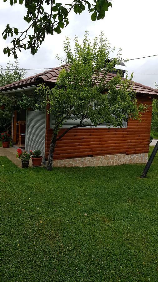 Guest House Adrijana Selište Drežničko Buitenkant foto